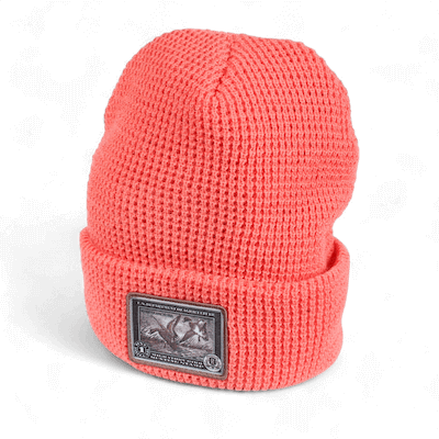 Beanies category